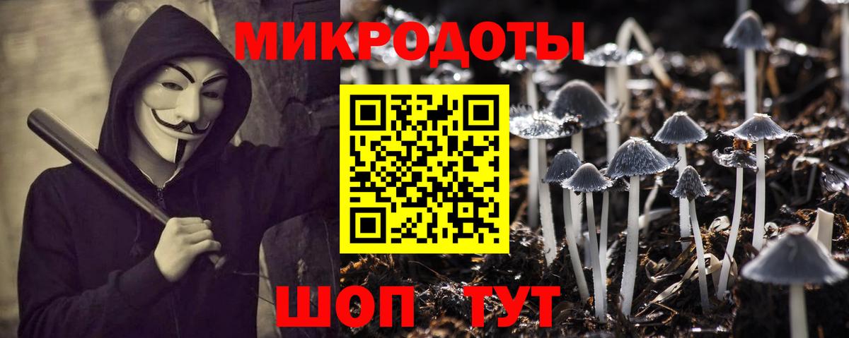 Галлюциногенные грибы Psilocybine cubensis  Вход с VPN  Семилуки 
